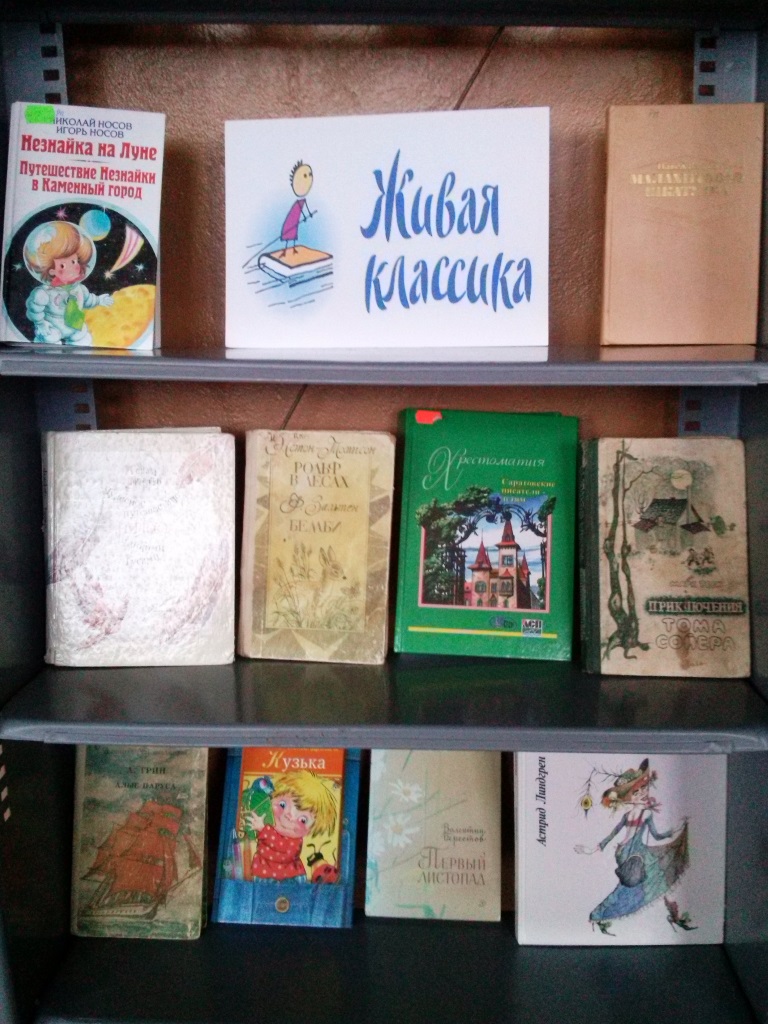 Всероссийская неделя «Всероссийская неделя «Живой классики» | МУК 